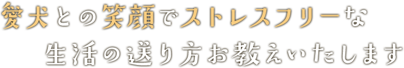 愛犬との笑顔でストレスフリーな生活の送り方お教えいたします